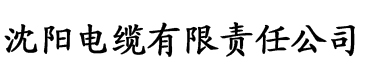 男女运动打扑克电缆厂logo